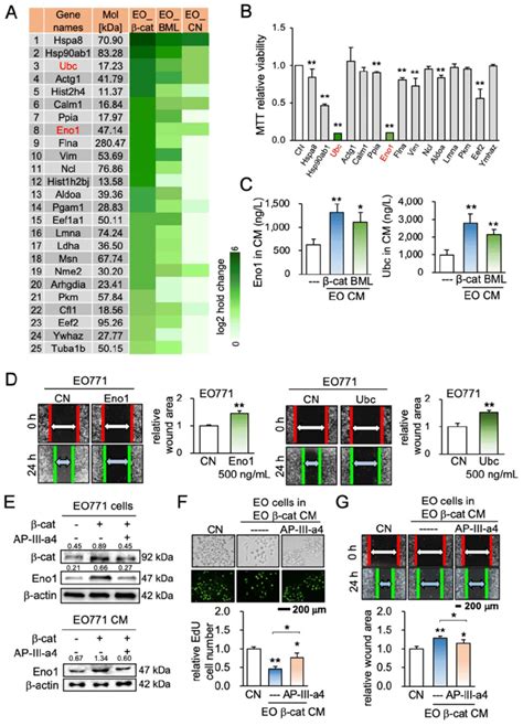 Mass Spectrometry Based Prediction Of Tumor Suppressors And The Effect