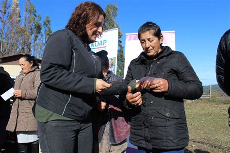 Agricultores De Indap Afectados Por Incendios Comenzaron A Recibir