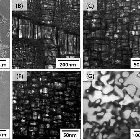 Microstructures Of The Solution Treated Samples For 2 H At 1050°c A