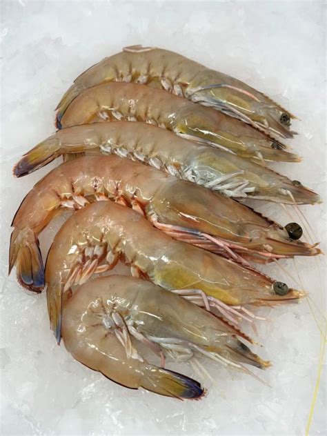 Large King Prawns 500gr To Get