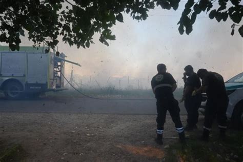 Pastos Secos Falta De Agua Y Calor El Explosivo Cóctel Detrás Del