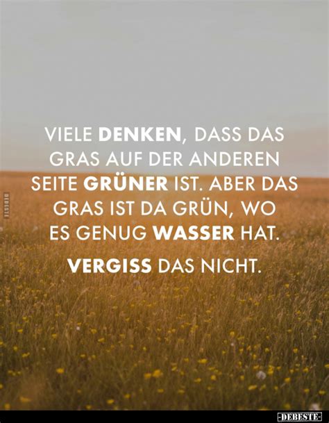 Viele Denken Dass Das Gras Auf Der Anderen Seite Gr Ner Ist Aber Das