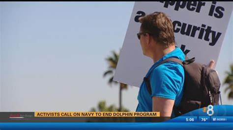 Activists call on U.S. Navy to end dolphin program | cbs8.com