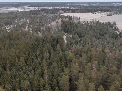 Skogsskiften Kräklingbo Kräklings i Kräklingbo Gotlands kommun gård