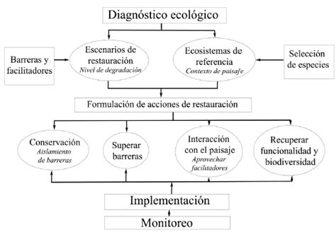 Diagn Stico Ecol Gico Formulaci N E Implementaci N De Estrategias Para