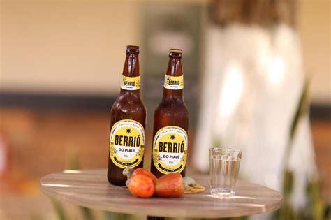 Ambev Lan A Oficialmente A Cerveja Berri Bebida Feita A Base De