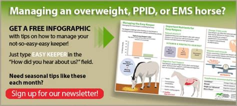 Horses Prone to Equine Metabolic Syndrome (EMS) and Cushing’s Disease ...