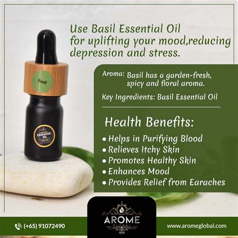 Top 10 Uses Of Basil Essential Oil By Arome Global Medium