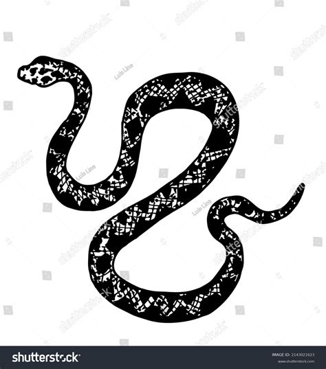 Hand Drawing Snake Set Wildlife Snake Stock Vector Royalty Free