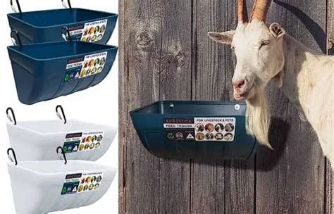 Goat Waterers Automatic Trough Heated Watering Ideas And Tips