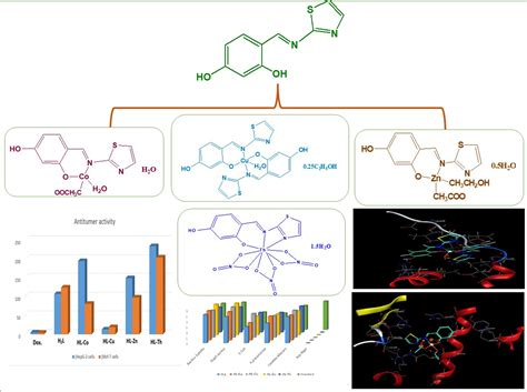 Synthesis Characterization Antimicrobial Molecular Docking Simulation And Antitumor Assays