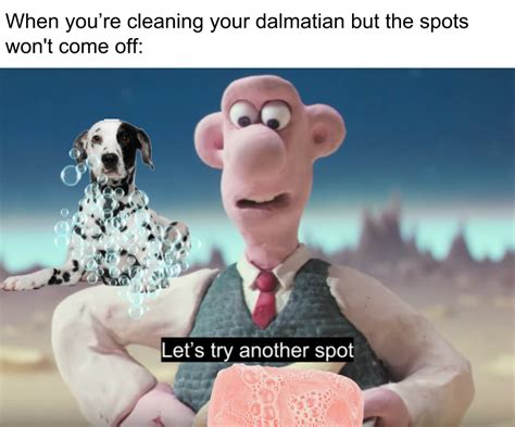 wallace and gromit memes are rising : r/memes