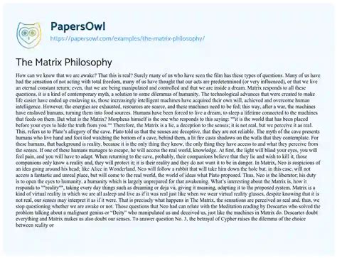 The Matrix Philosophy - Free Essay Example - 776 Words | PapersOwl.com