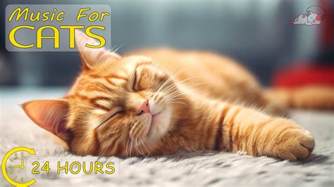 Music For Cats Relaxing Sounds For Anxious Cats Music Is Healing For