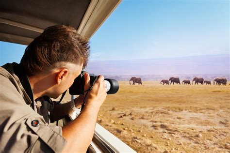 Safari Nos Conseils Pour Organiser Son Voyage En Afrique