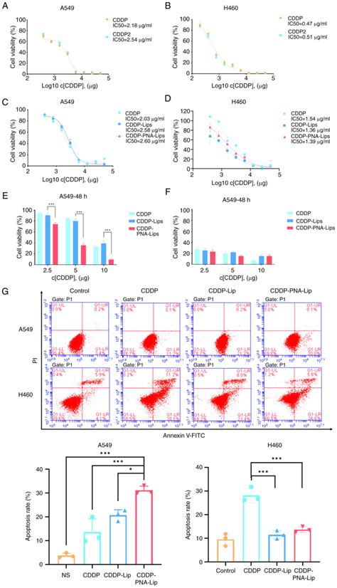 Improved Efficacy Of Cisplatin Delivery By Peanut Agglutininmodified