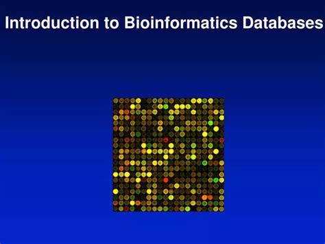 Ppt Introduction To Bioinformatics Databases Powerpoint Presentation