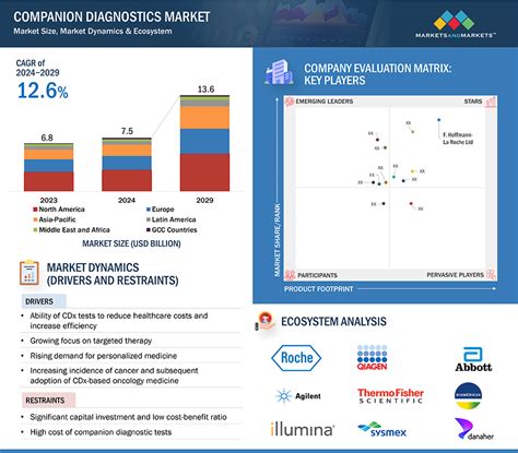 Companion Diagnostics Market Size Share Trends And Revenue Forecast