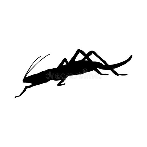 Grasshopper Silhouette Stock Vector Illustration Of Drawing 264352286