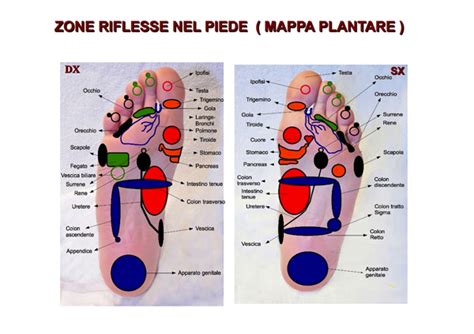 La Riflessologia Plantare Wellness Body