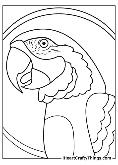 Coloring Pages Macaw