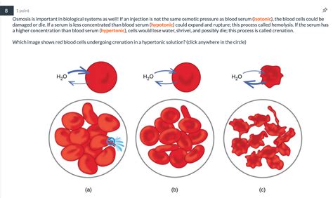 How To Show Osmosis