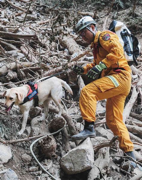 Dog Who Flunked Out of Police Academy Helps Taiwan Earthquake Rescue Efforts