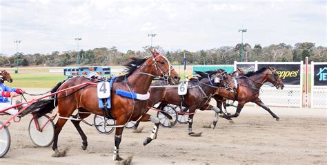 Crossing The Finish Line Kilmore Pacing Cup 2014 Won By Guaranteed