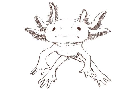 Cute Axolotl Sketch Vintage Engraving Hand Drawn Vector Art