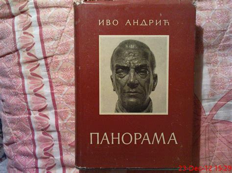 Ivo Andric Panorama 11533073