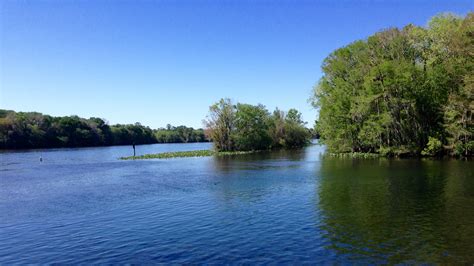 Manatee Springs | Circle to Circle