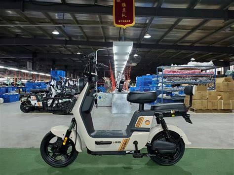 Saige Top Brand W High Power Electric Bike With Pedal Assist