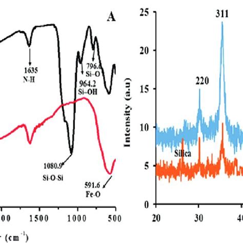 A Ft Ir Spectra Of Fe3o4red And Fe3o4sio2 Black Nanoparticles