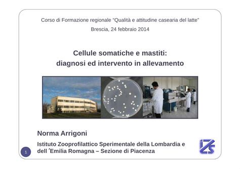 PDF Cellule Somatiche E Mastiti Diagnosi Ed Intervento In