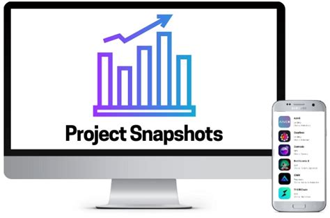 Project Snapshots Revelo Intel