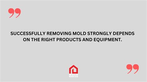 Top Mold Remediation Products: The Ultimate Guide To Effective Mold ...