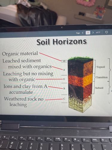 Geology Exam 2 Flashcards Quizlet