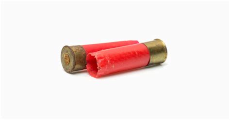 Do Shotgun Shells Go Bad Facts To Know Before Using Old Ammo