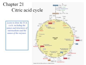 Ppt Chapter Citric Acid Cycle Powerpoint Presentation Free To