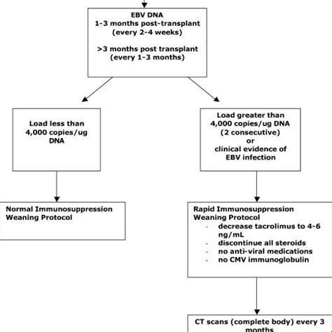 Ebv Viral Loads In 11 Patients During Immunosuppression Withdrawal