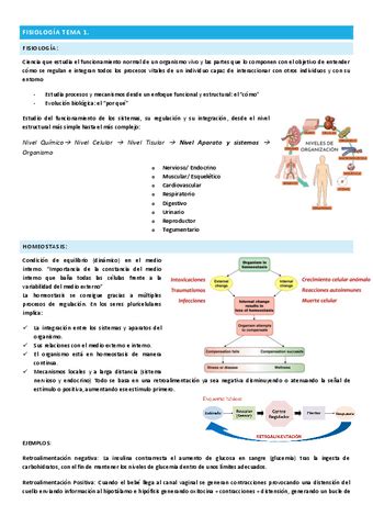 Fisiologia Primer Parcial Pdf