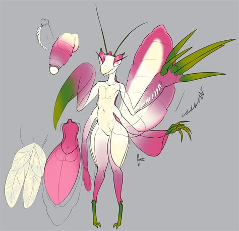 Rule 34 Absurd Res Antennae Anatomy Anthro Arthropod Claws Cupic