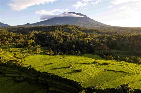 Bali Or Philippines: One Tropical Island Or A Whole Archipelago?