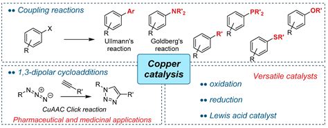 Bio Based Catalysts From Biomass Issued After Decontamination Of