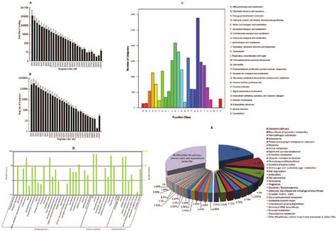 Summary Of De Novo Transcriptome Sequencing And Assembly Of Black Download Scientific Diagram