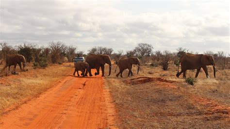 Tsavo East National Park