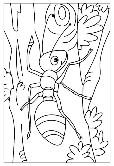 Desenhos De Formiga Para Colorir E Pintar Tudo Para Colorir