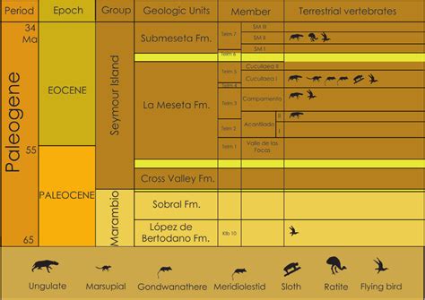 Time Scale Stratigraphy And Vertebrate Fossil Record For The Paleogene