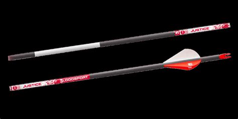 Arrows - Bloodsport Archery