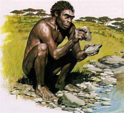 Early Hominids timeline | Timetoast timelines